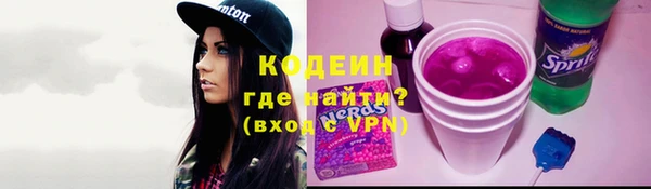 гашик Алексин