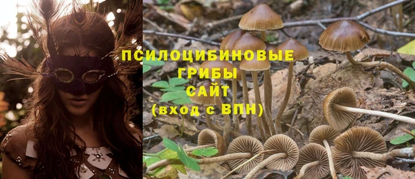 ПСИЛОЦИБИНОВЫЕ ГРИБЫ Алзамай