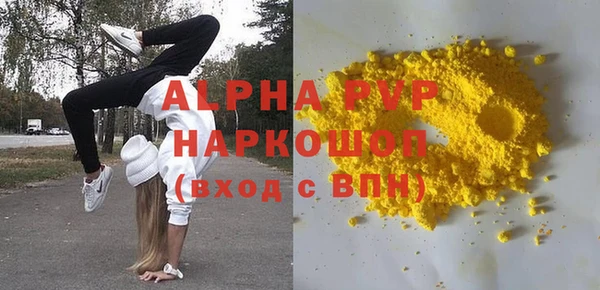 гашик Алексин