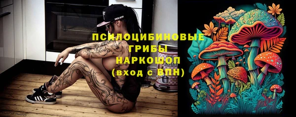 гашик Алексин