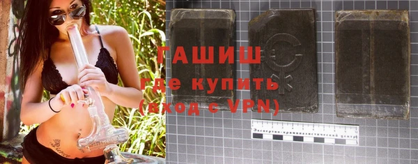 гашик Алексин