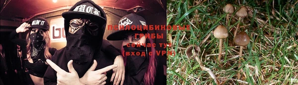 ПСИЛОЦИБИНОВЫЕ ГРИБЫ Алзамай