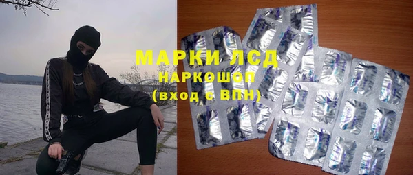 ПСИЛОЦИБИНОВЫЕ ГРИБЫ Алзамай