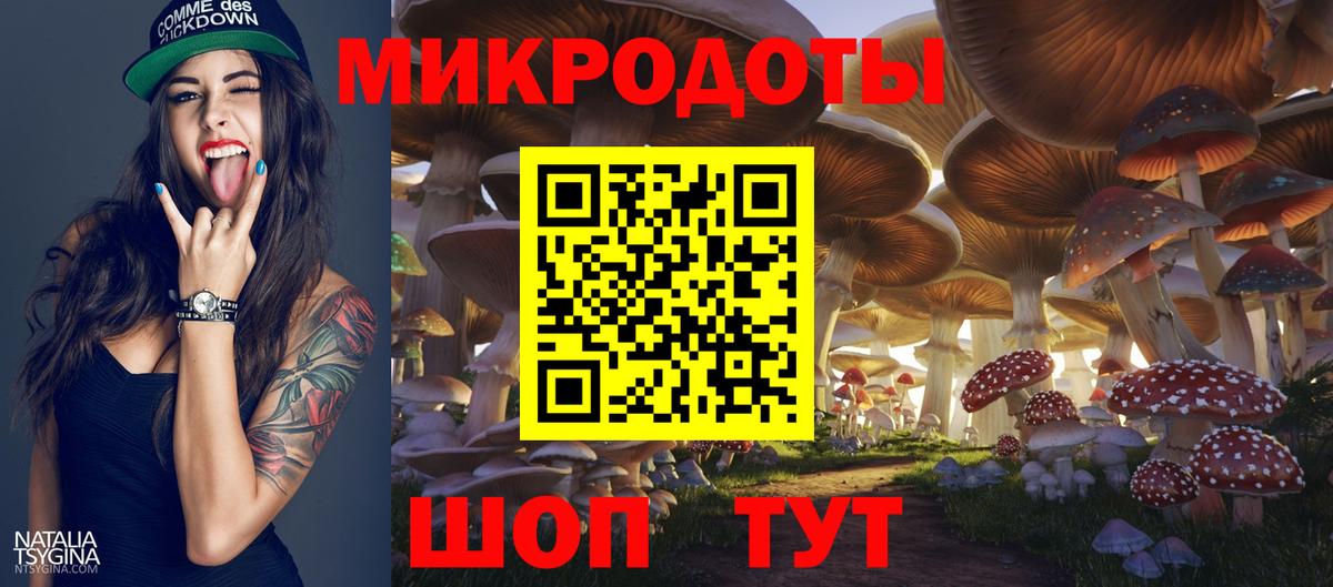 Галлюциногенные грибы Psilocybine cubensis Пушкино