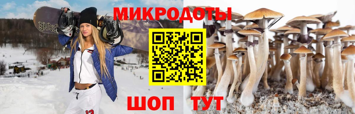 Пушкино  Галлюциногенные грибы прущие грибы  купить   Вход с VPN 